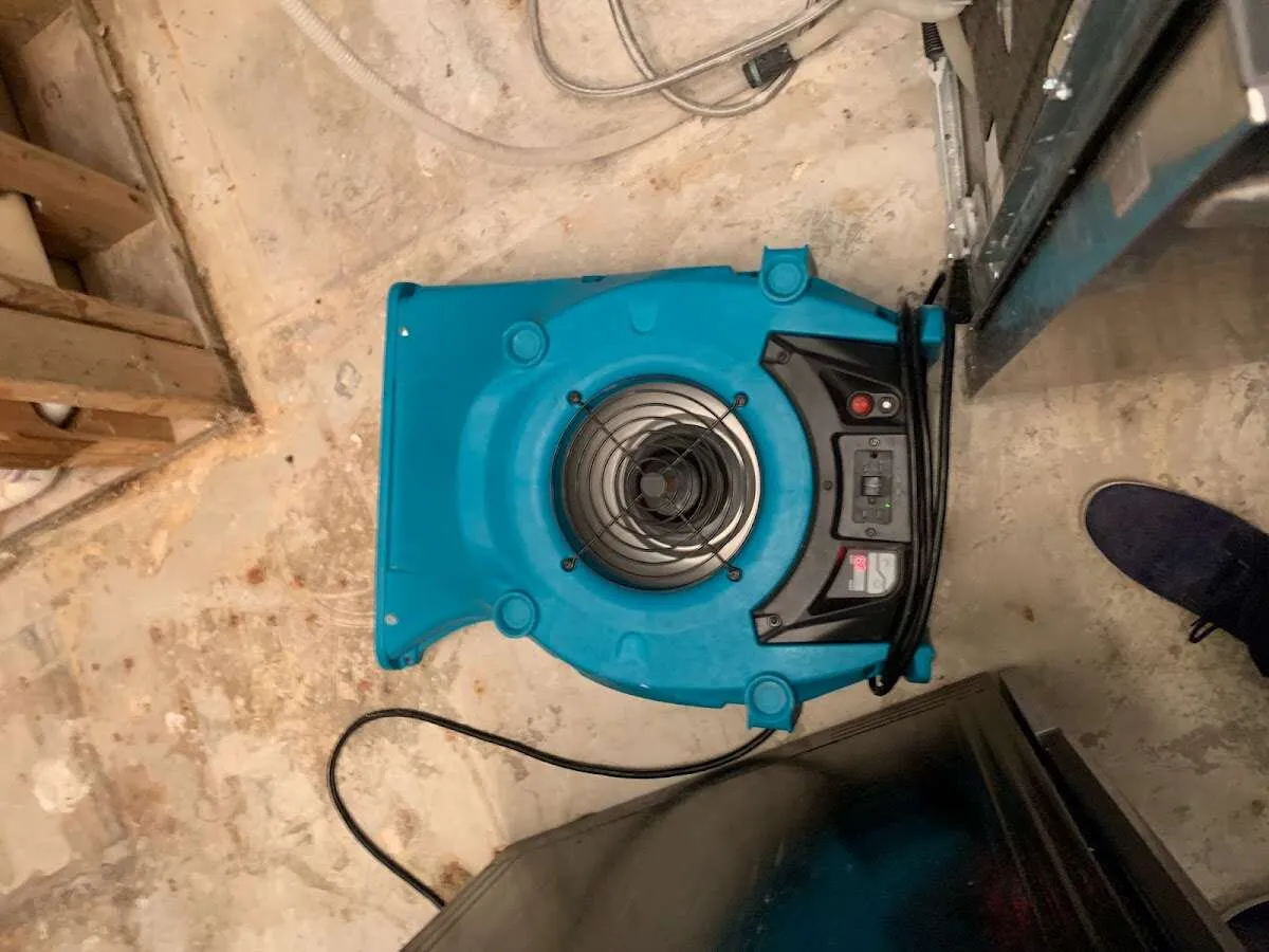 Air mover drying equipment for Mold Remediation & Removal in Hurley